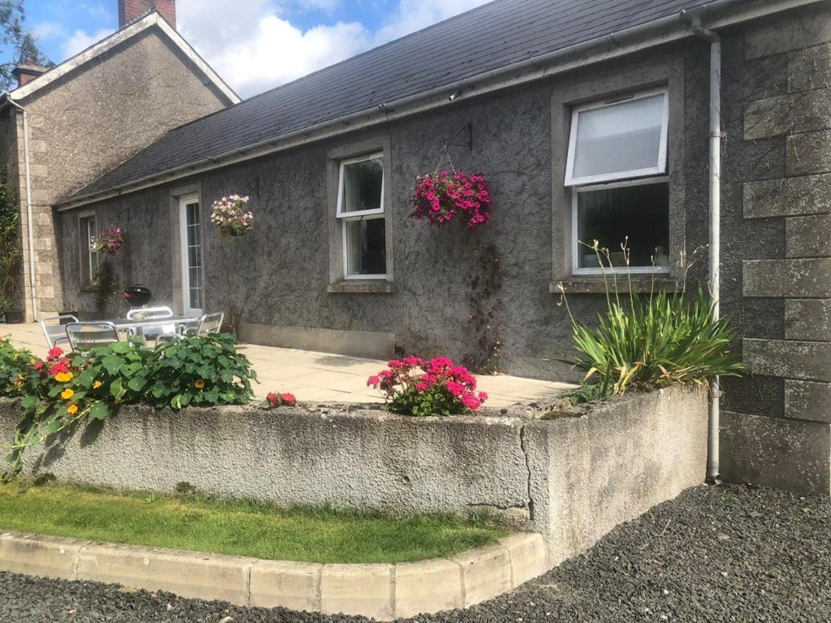 Ballyconnelly Cottages, Galgorm Area Cullybackey Dış mekan fotoğraf
